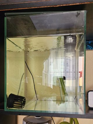 Acuario de 19 litros con tapadera de cristal