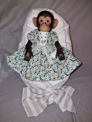 Monito Bebé vestido