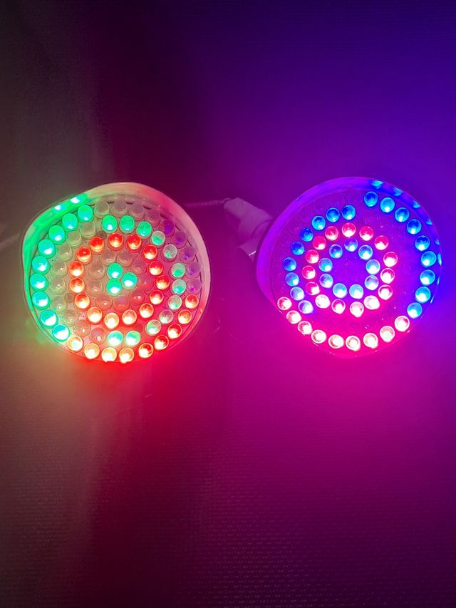 Dos focos Leds PRO LIGHT PAR 36