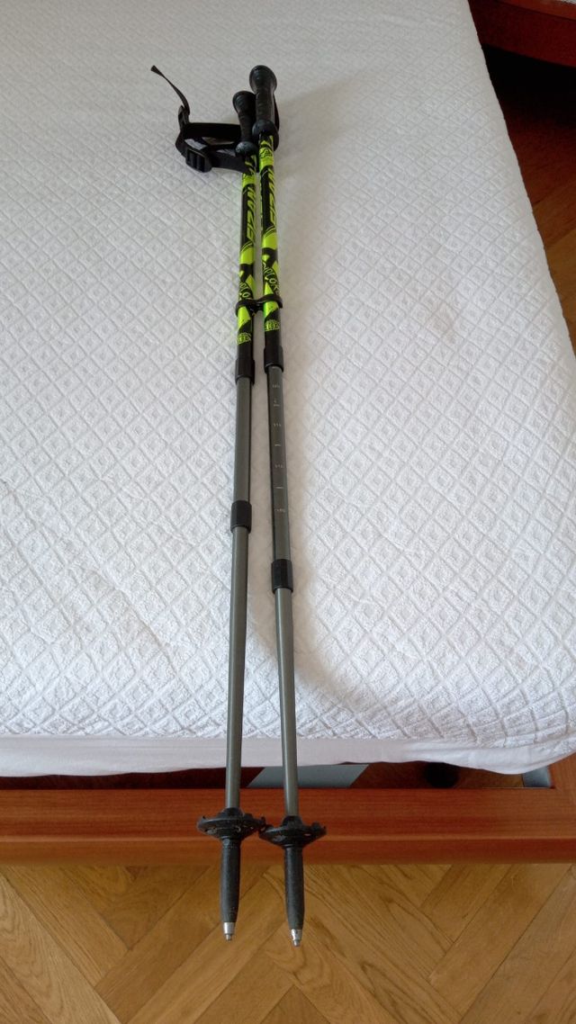 Bastoncini da trekking