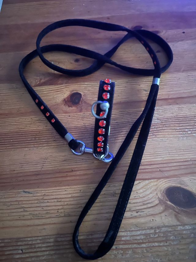 Conjunto collar y correa