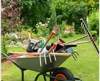 Jardinero profesional.