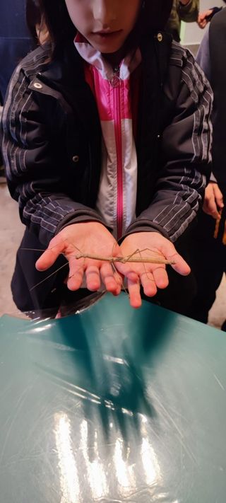 Animales exóticos en su cumpleaños! 🎂