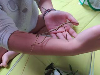 Animales exóticos en su cumpleaños! 🎂