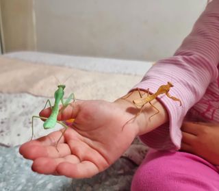 Animales exóticos en su cumpleaños! 🎂