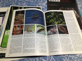 Colección de revistas CLEFS DE CONNAISSANCE