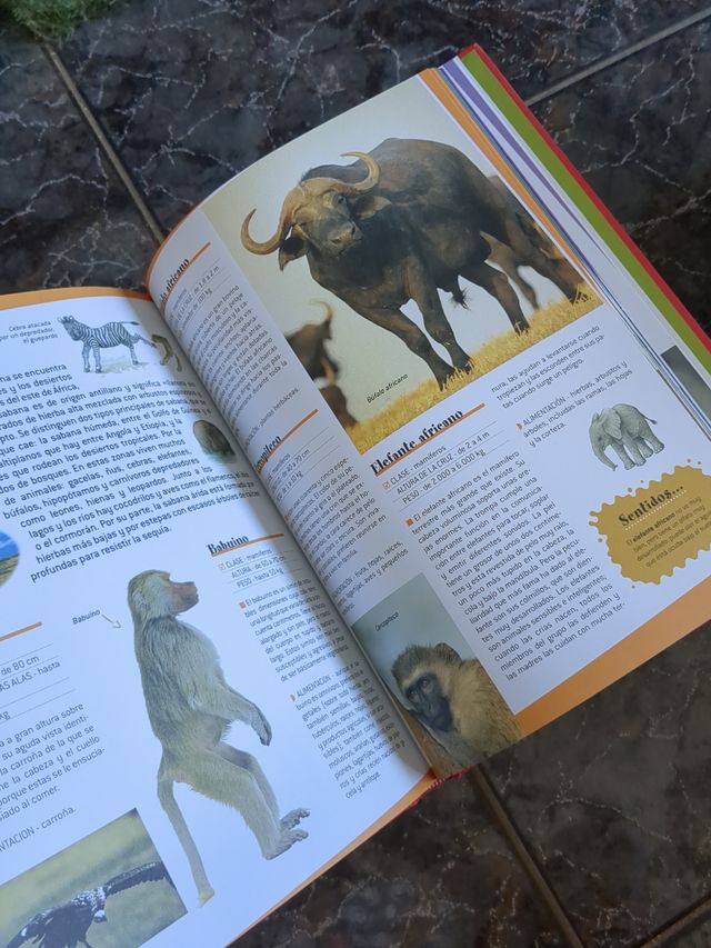 El gran libro de los animales