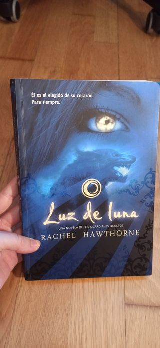 Saga Guardianes Ocultos (literatura juvenil)