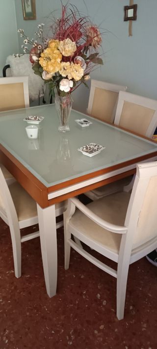 Mesa salón y 6 sillas