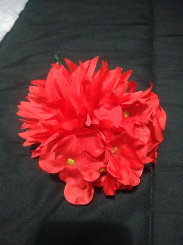 Traje flamenca y accesorios