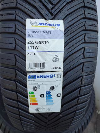 Neumáticos 255/55R19 111W Michelin