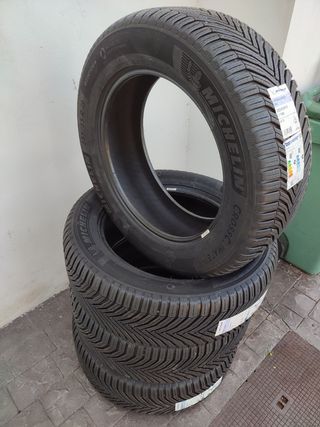 Neumáticos 255/55R19 111W Michelin