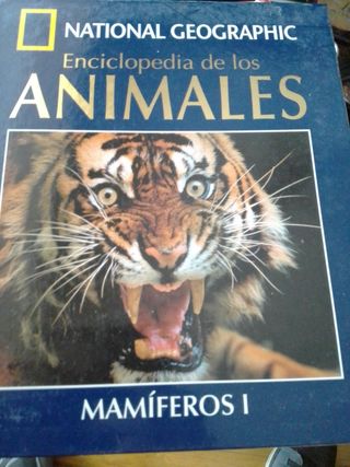 LOTE LIBROS ANIMALES PARA NIÑOS