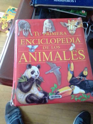 LOTE LIBROS ANIMALES PARA NIÑOS