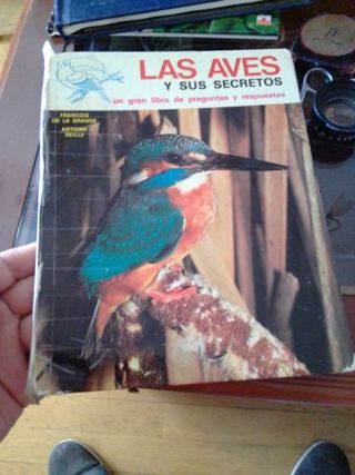 LOTE LIBROS ANIMALES PARA NIÑOS