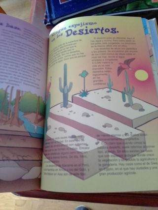 LOTE LIBROS ANIMALES PARA NIÑOS