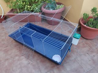 Jaula grande y accesorios