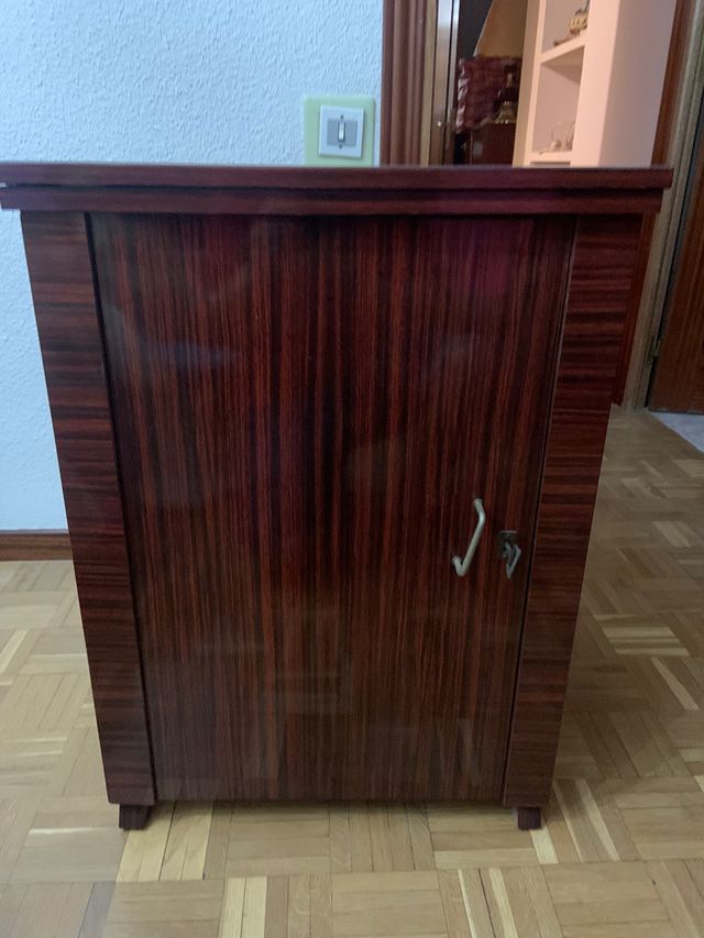 Singer modelo victoria