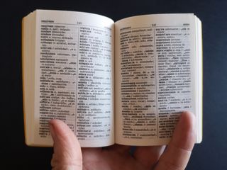 Mini diccionario Italiano-Español