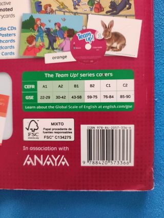 Team Up! 1° primaria