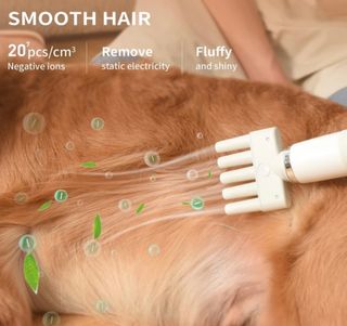 Secador de Pelo para Mascotas