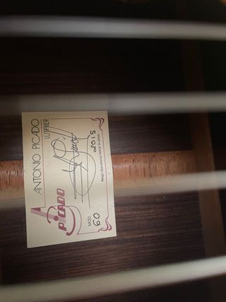 Guitarra picado modelo 60