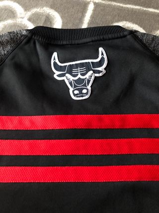 camiseta Adidas Chicago Bulls, talla M