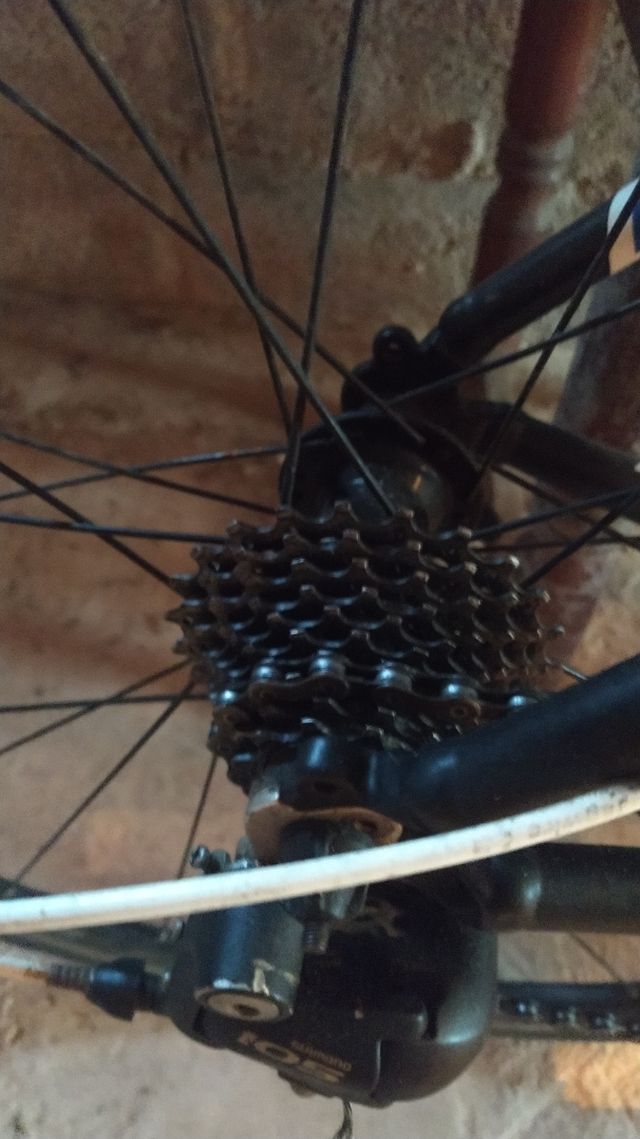 bici de carretera trek 