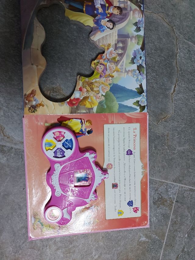 libro el carruaje real.