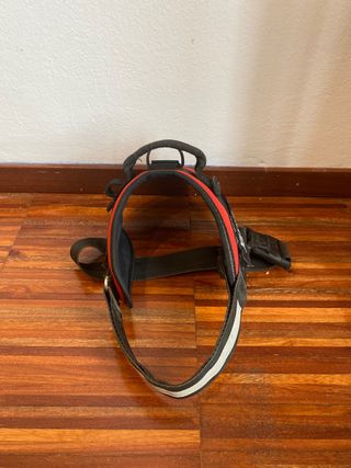 Arnes perro julius k9