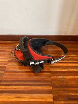 Arnes perro julius k9