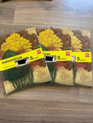 LIBRO MATEMÁTICAS 5º PRIMARIA