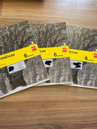 LIBROS MATEMÁTICAS 6º PRIMARIA