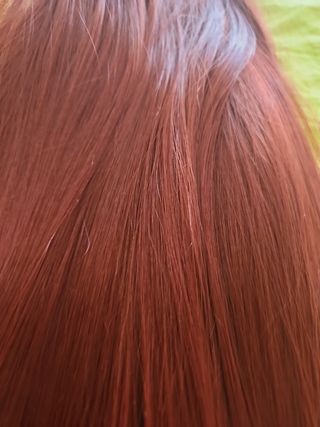Extensiones para coleta con pinza grande