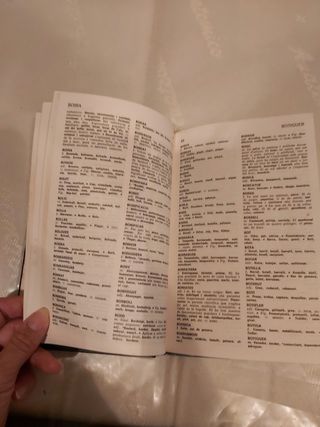 Diccionari VOX sinònims i antònims. Català