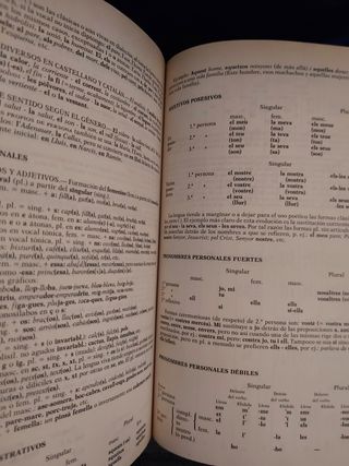 Diccionari Castellà-Català