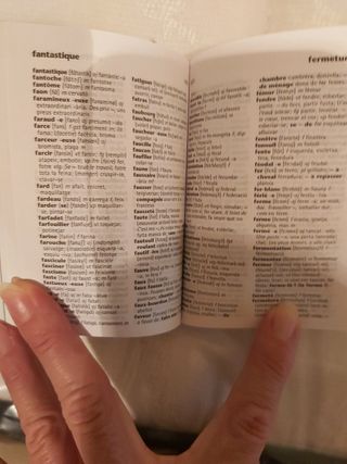 Diccionari català francès mini