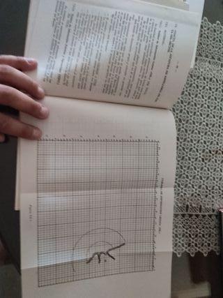 Antiguos Libros reglamento ejército (1984-1985)