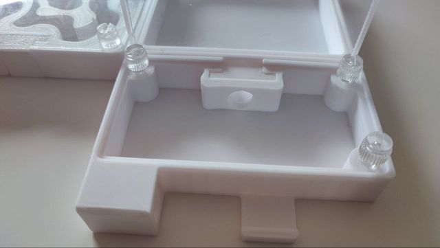 Hormiguero con forrajeo