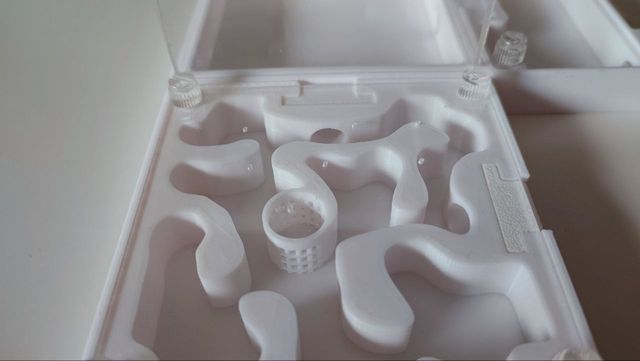 Hormiguero con forrajeo