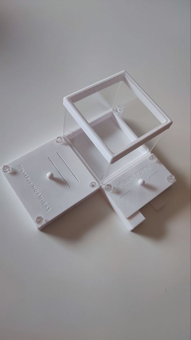 Hormiguero con forrajeo