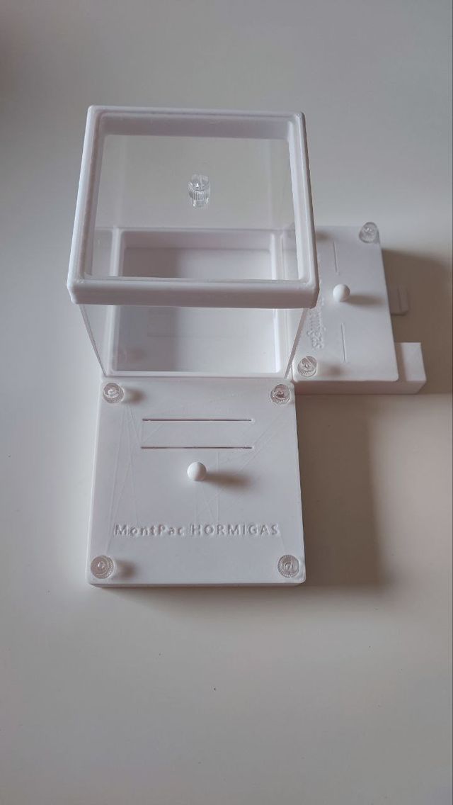 Hormiguero con forrajeo