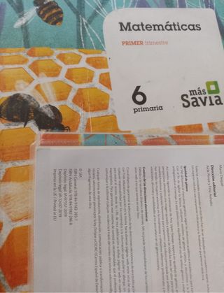 libros de 6 primaria