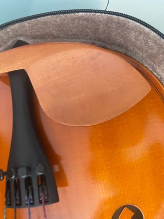 VIOLA 3/4