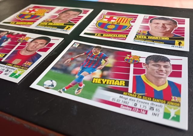 LOTE FC BARCELONA 13/14 - MESSI