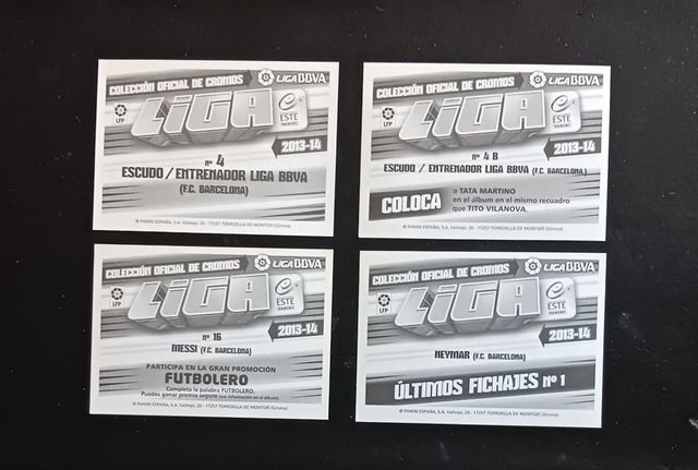 LOTE FC BARCELONA 13/14 - MESSI