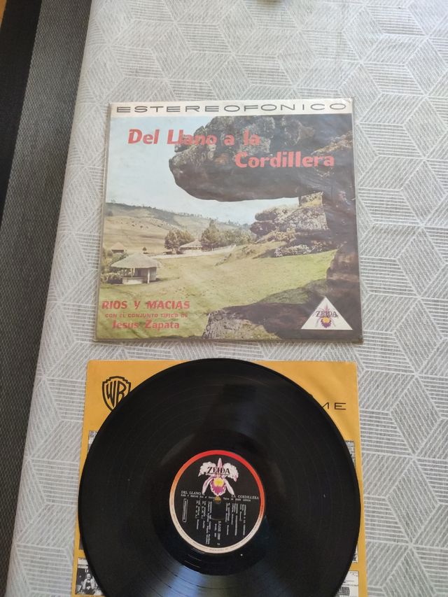 Vinile dalla pianura alla catena montuosa