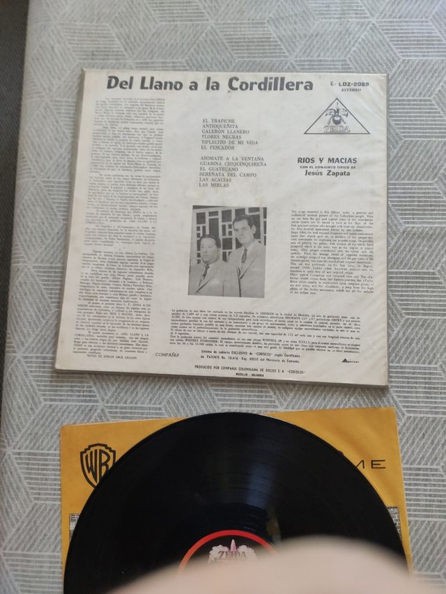 Vinile dalla pianura alla catena montuosa