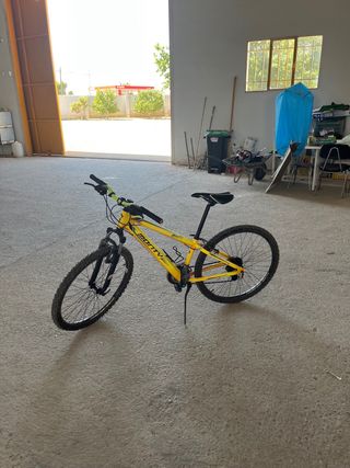 Bicicleta Monty
