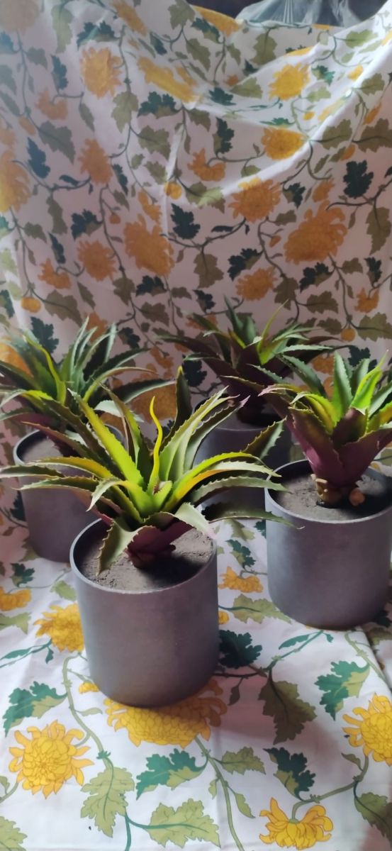 MACETAS VARIAS DECORATIVAS PLANTAS COLGANTES